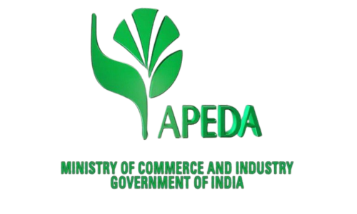 Untitled design (33)