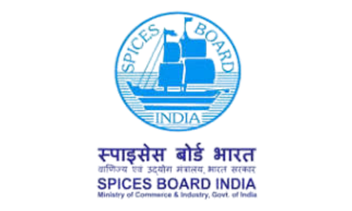 Untitled design (34)